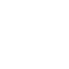 custom-icon-2